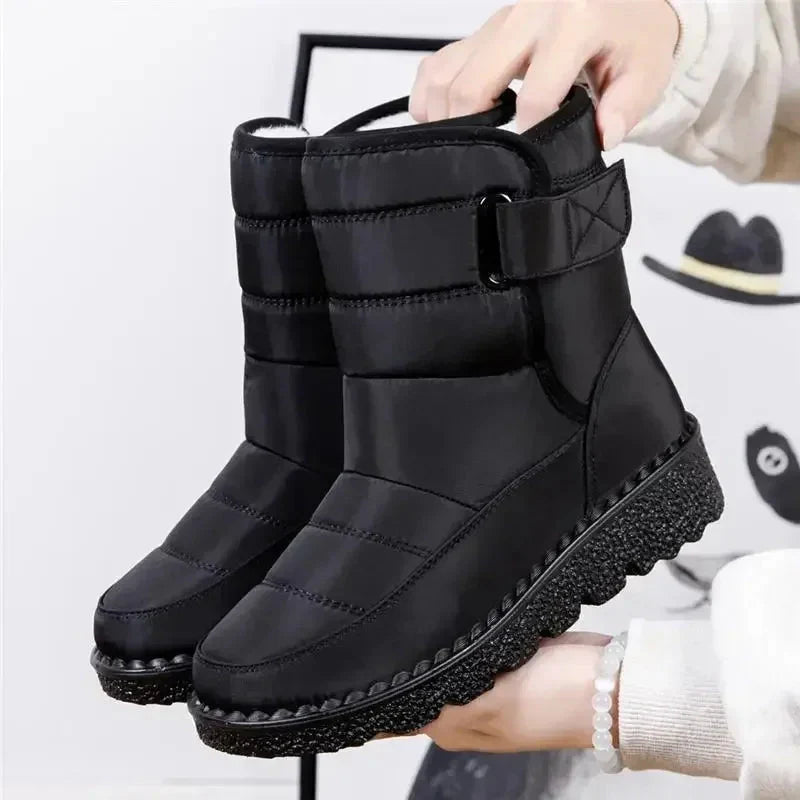 Black / 12