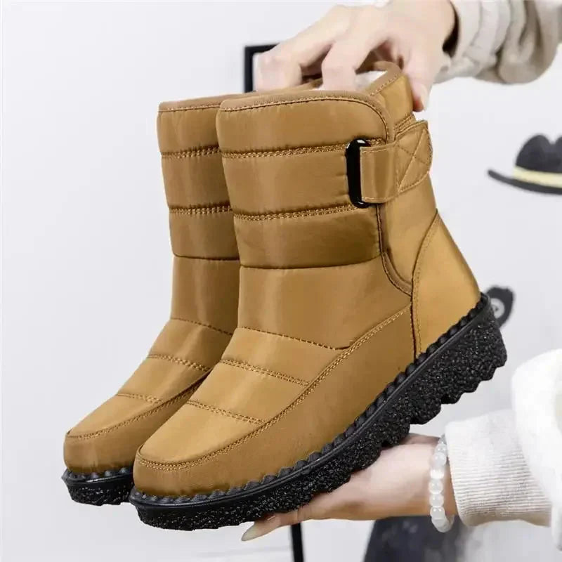 Khaki / 12