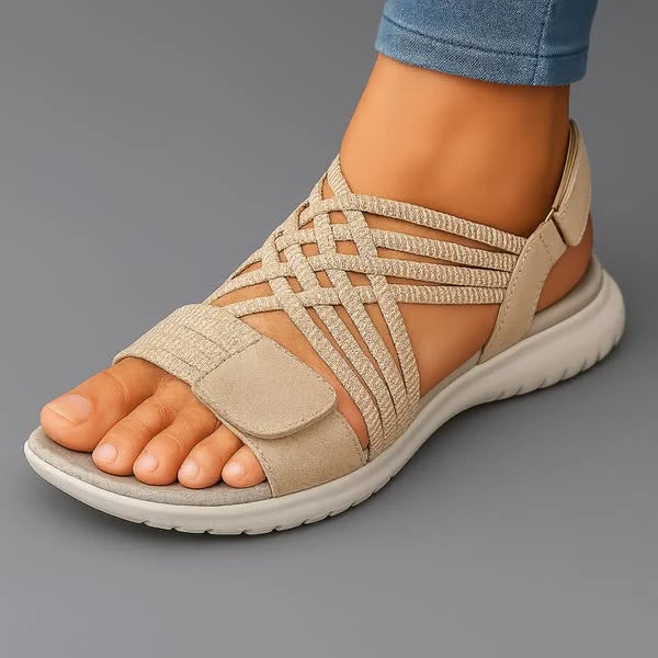 Beige / 12