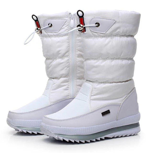 White / 12