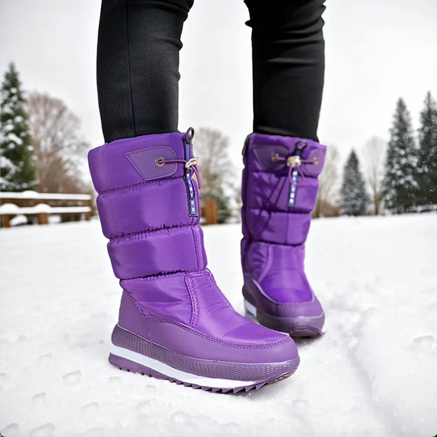 Purple / 12